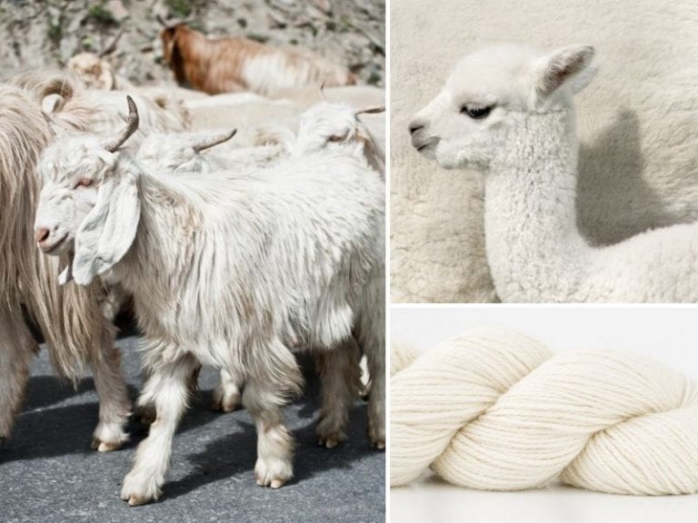 Animal Fiber-Based Yarns