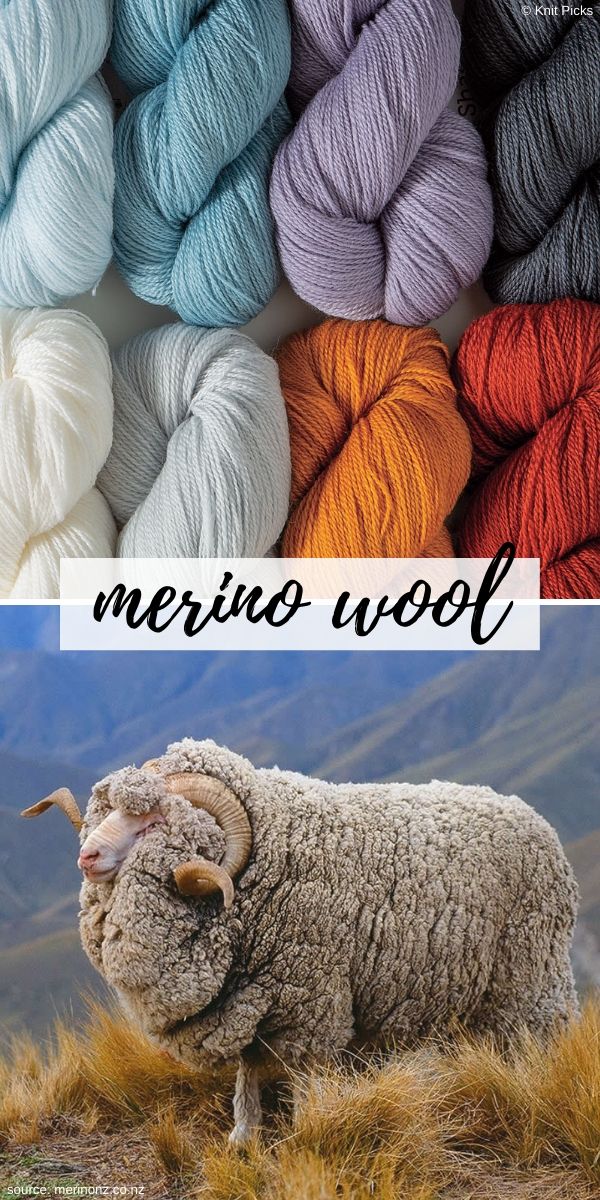 merino wool