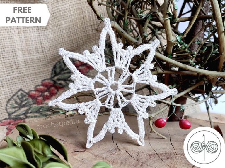 Crochet Snowflakes Mini CAL – Part 1 + Video!