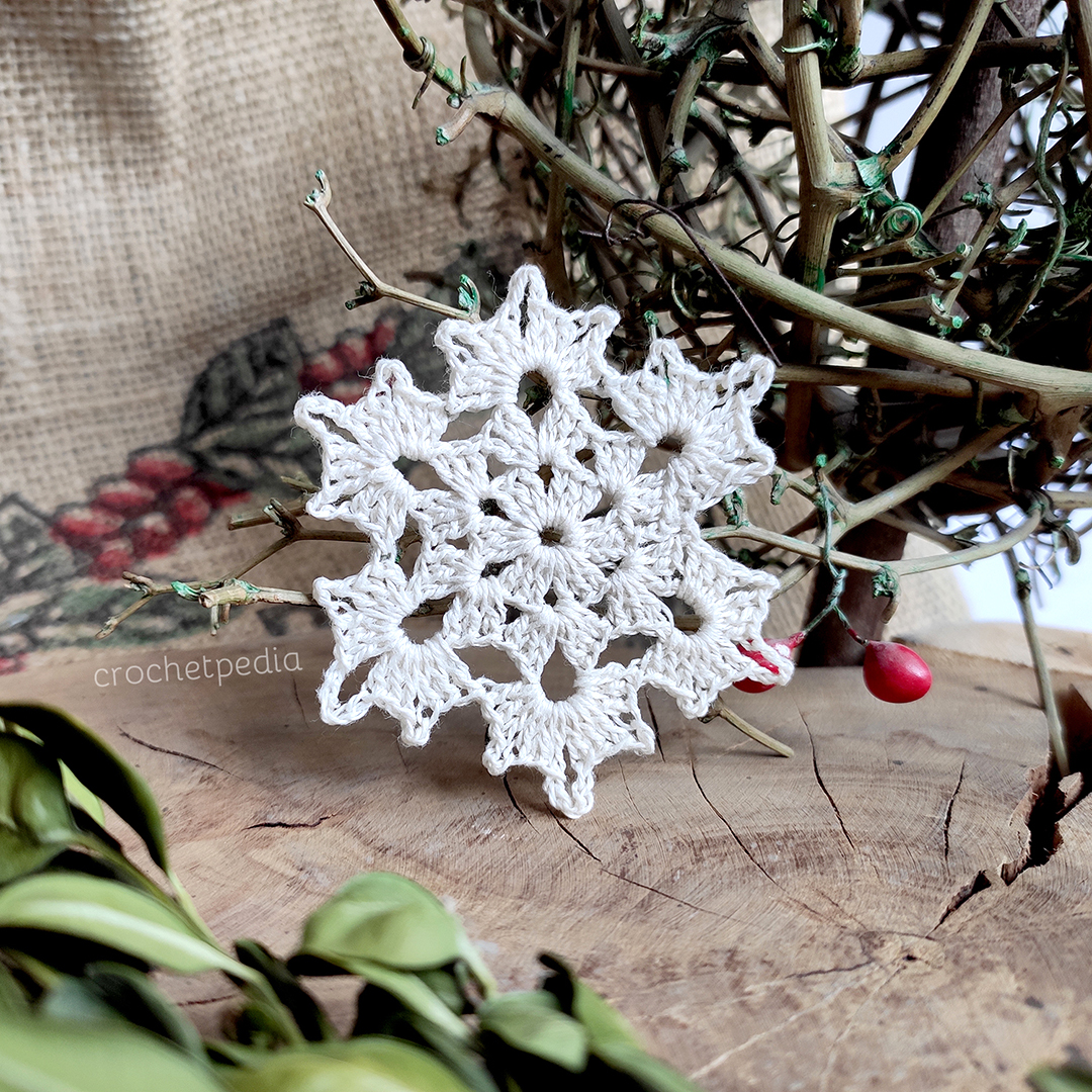 white snowflake with foliage and wood