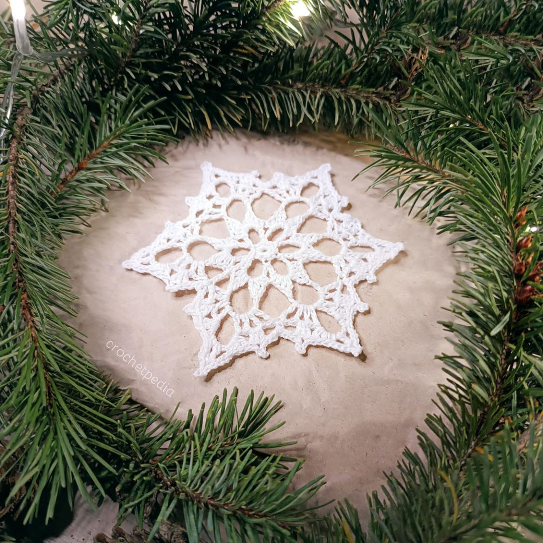 A white snowflake is placed in a christmas wreath.