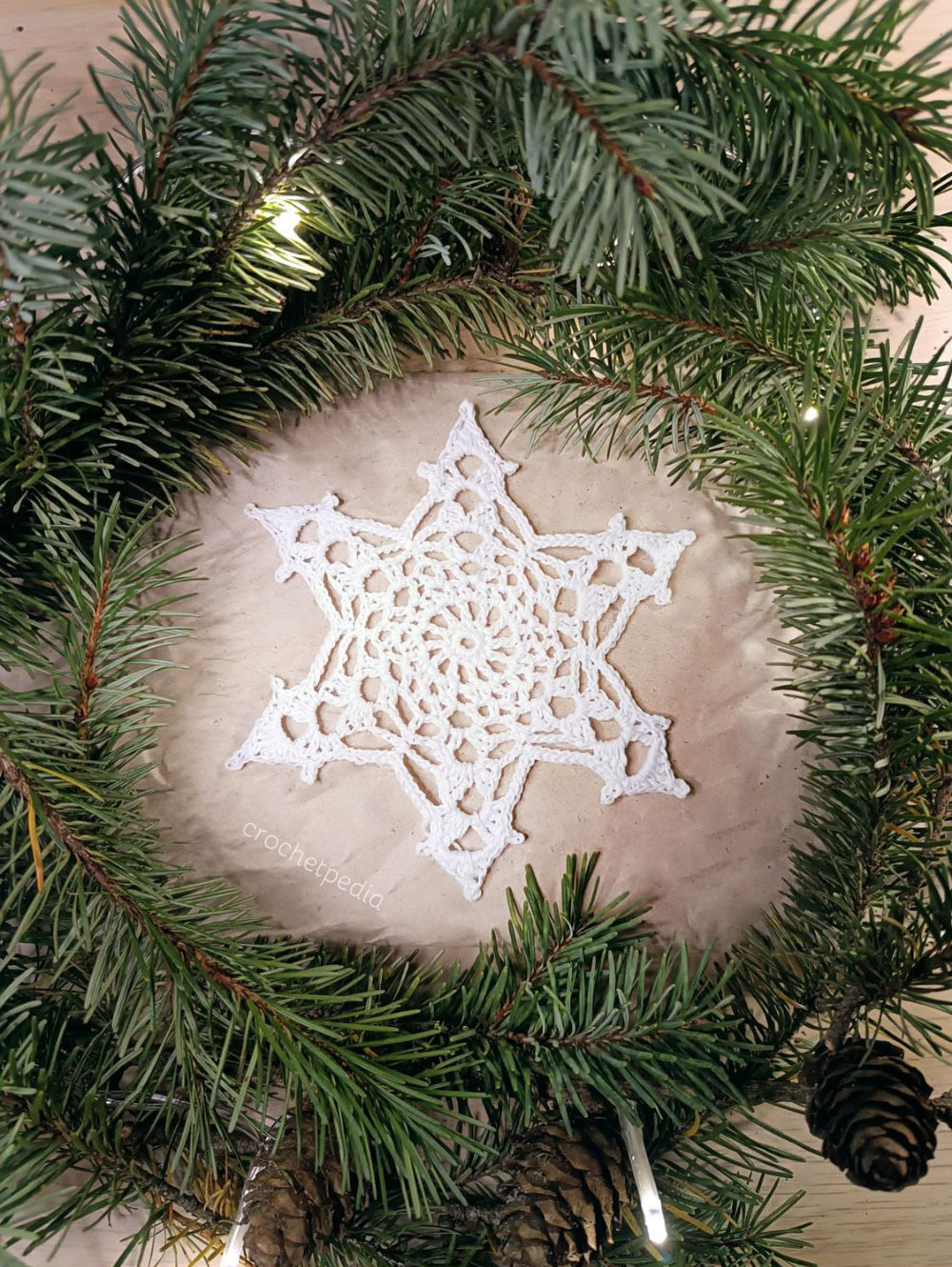 A snowflake is placed in a wreath of pine cones.